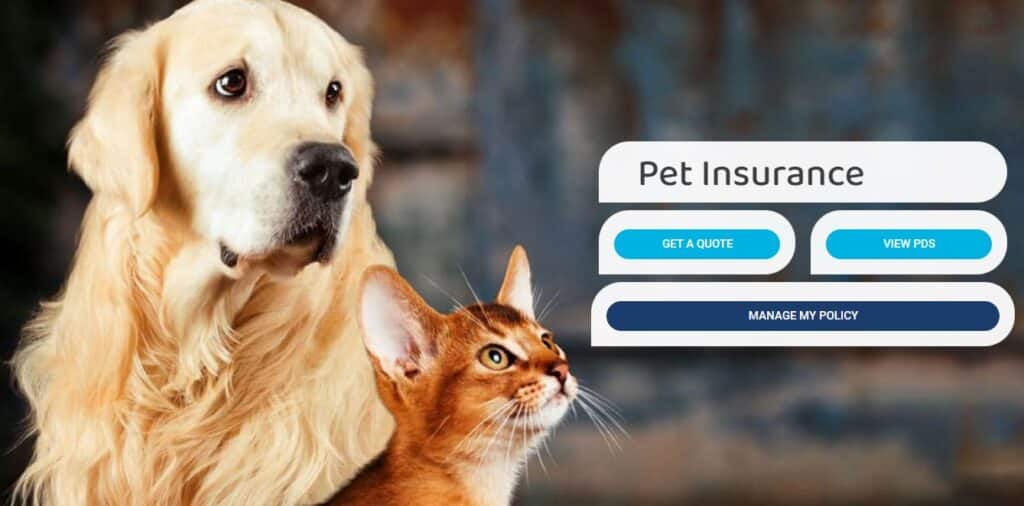 Blue Badge Pet Insurance Clocks 1 Year! - Blue Badge Australia